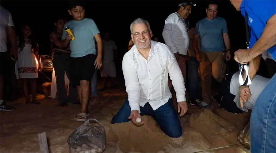 michoacan-liberara-crias-tortuga