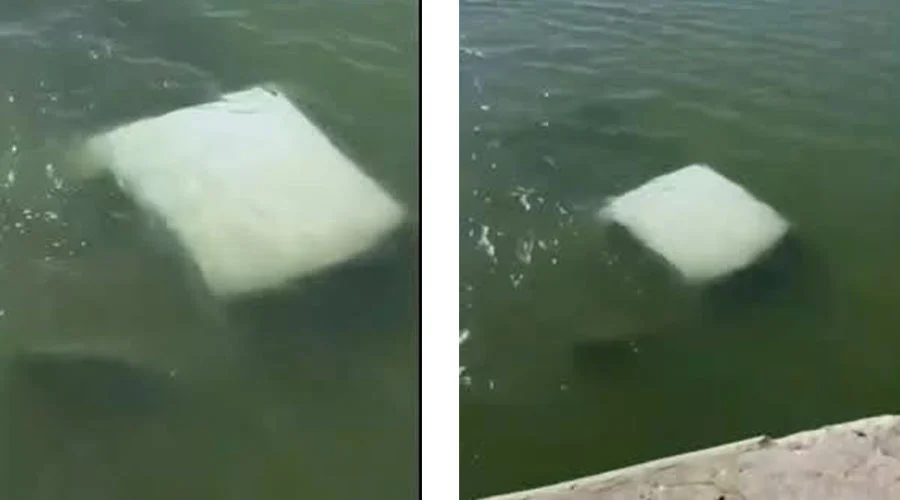mueren-cuatro-marinos-la-pesca-accidente Cuerpos de emergencia en el área donde mueren cuatro marinos tras caer su vehículo a un río en La Pesca.