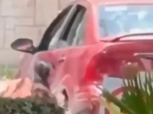 mujer_vandaliza