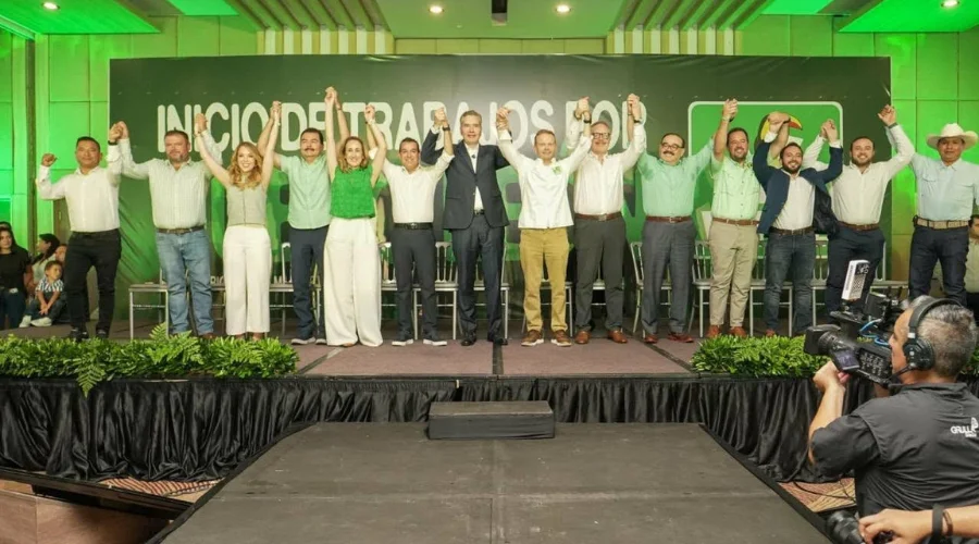 partido-verde-waldo-fernandez