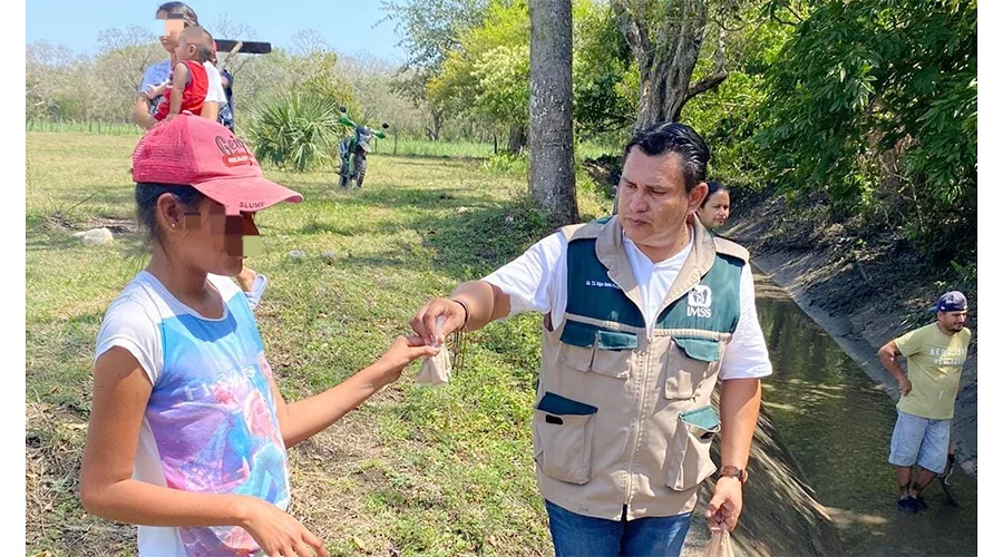 refuerza-imss-tamaulipas-prevencion-contra-el-dengue