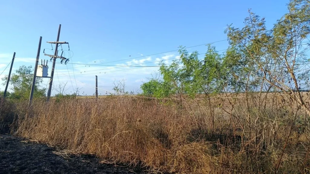 Incendio de pastizal afecta bombeo de agua en San Fernando 2 51390819 e7fa 442c 8e6b 4e852eb34213
