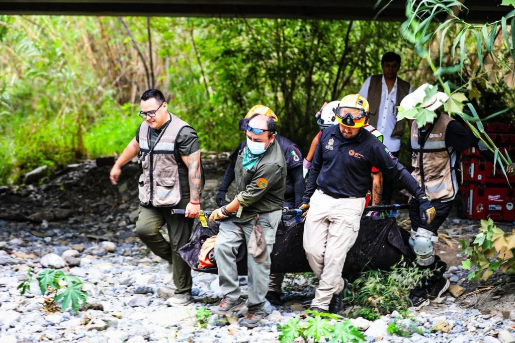 Rescatan a oso atropellado en La Estanzuela en Monterrey 2 69f8256c c02e 4de4 a392 f3c8ae57b11d