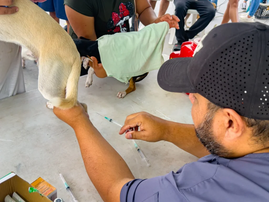 Beneficia Brigada Médica "Patitas Seguras" a San Valentín 2 70408a05 bd5a 4ac7 b502 269a78c9b402