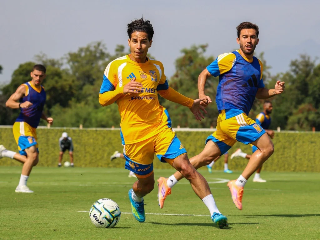Ensaya Tigres línea de 5 para Clásico Regio 1 793576478 1081398874246396 7740760705438439250 n