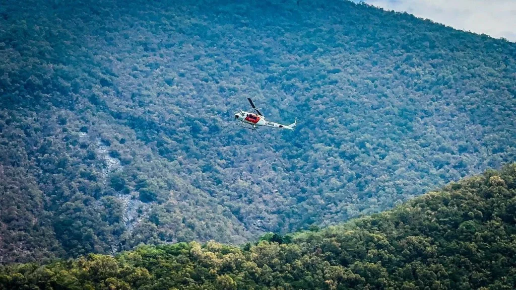 Reportan controlados tres incendios forestales en Nuevo León 2 798784353 2035588033742554 3577735466054408426 n