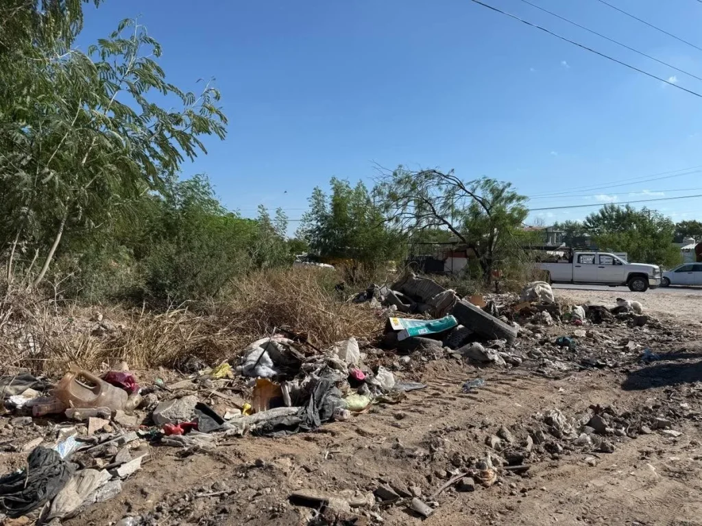 Llega “Acción y conciencia” a Balcones de Alcalá 1 800878982 1247997687466630 48694539280568276 n
