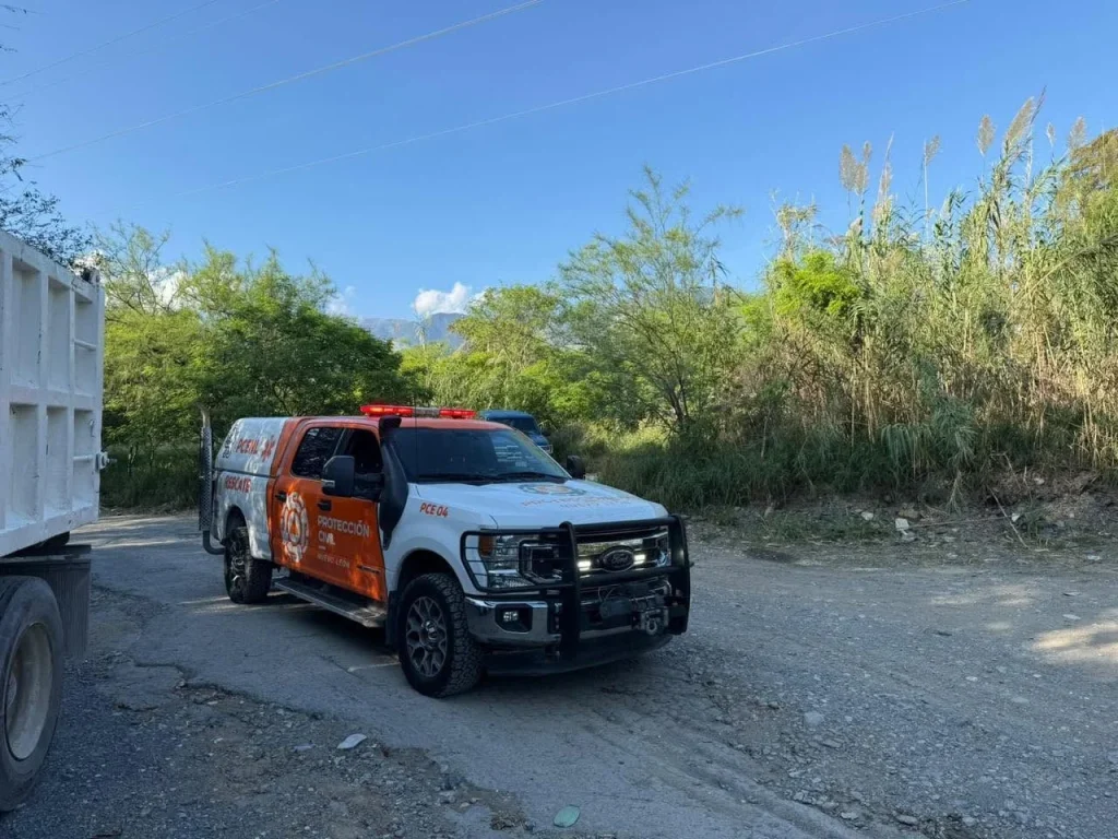 Atropellan a oso en el sur de Monterrey 1 809384867 1767507404475754 7027061512451523226 n