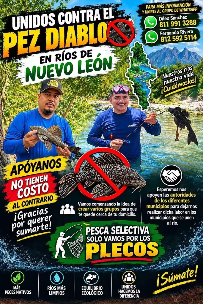 Pescadores ya retiraron mas de mil 600 peces diablo del río la Silla 1 818812617 1988181835089522 197144094917038144 n