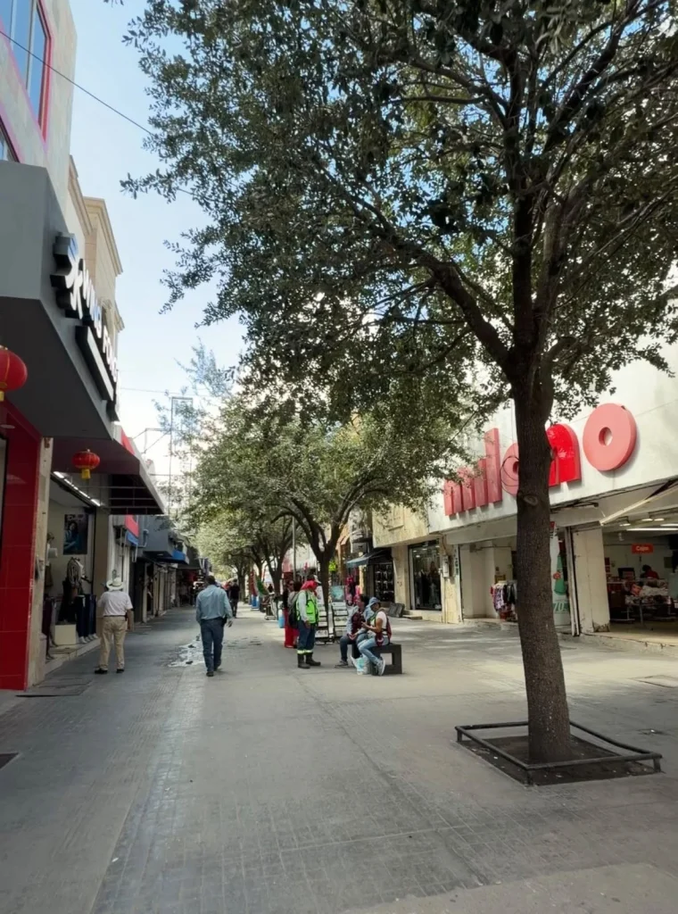 Este martes inicia oficialmente el otoño 1 819469761 1434345655377646 2136796802526158321 n
