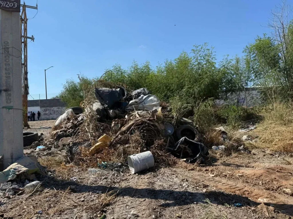 Extenderán duración de Acción y Conciencia en Balcones de Alcalá 1 820926968 1632525965331257 4699955906680710555 n