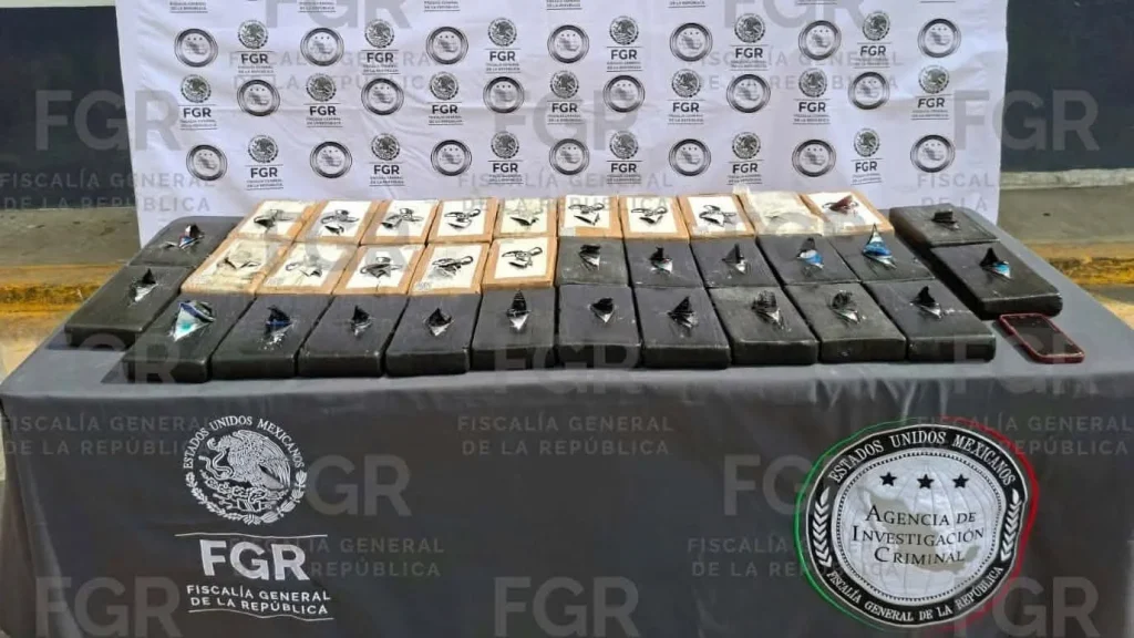 Investiga FGR decomiso de 39 kilos de cocaína en Los Ramones; hay una detenida 1 825258927 2125273428071906 5657677601087334196 n