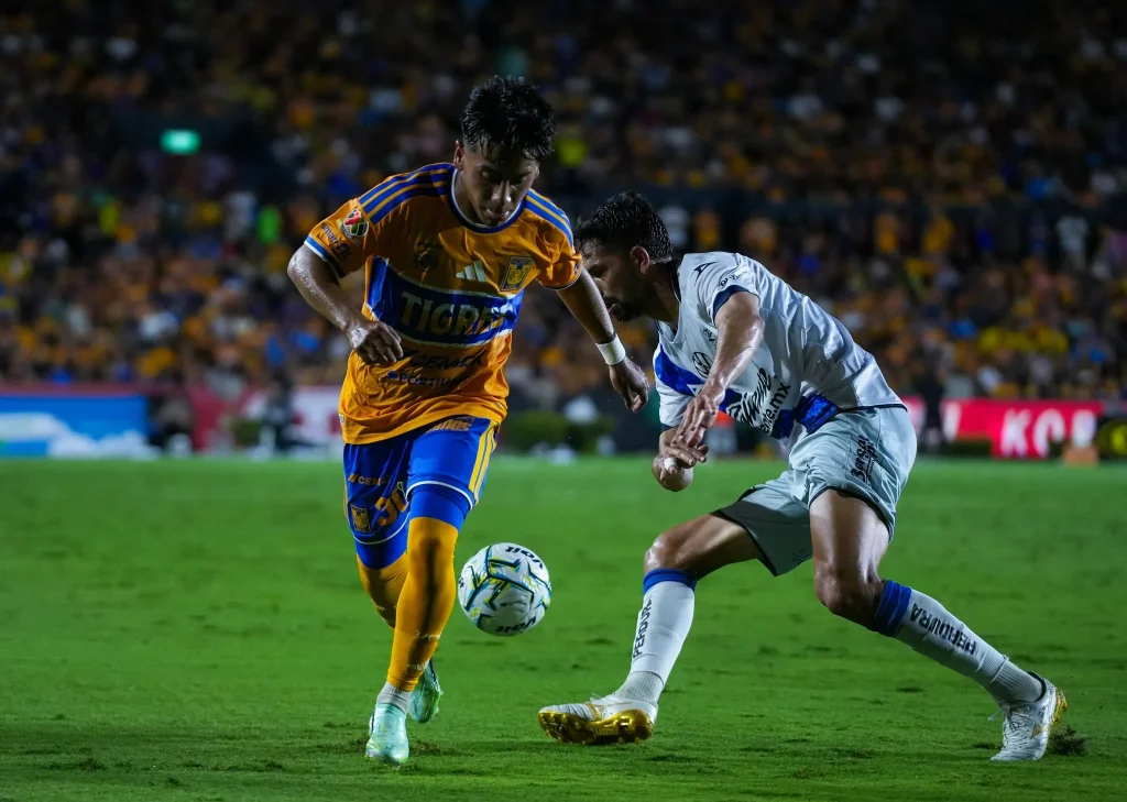 Tigres regresa al triunfo tras cinco partidos 2 825308318 2167671387500639 300568436949383995 n