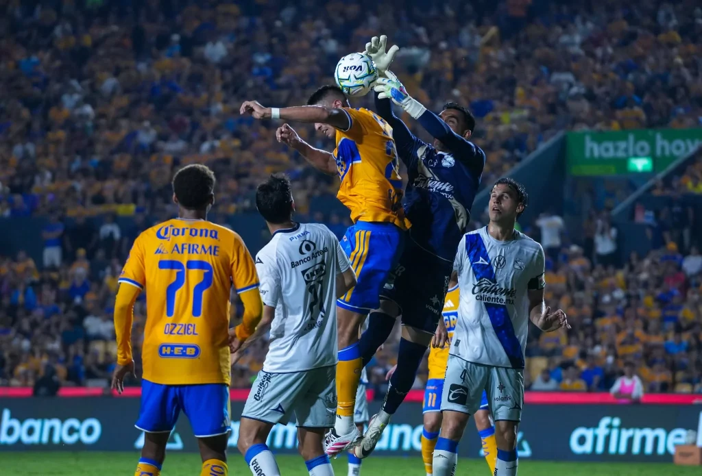 Tigres regresa al triunfo tras cinco partidos 1 825308406 2226943921204938 6189737841163239279 n