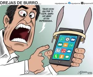 OREJAS DE BURRO OREJAS DE BURRO