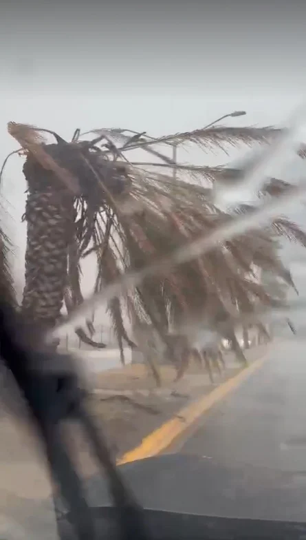 Cae fuerte aguacero sobre zona metropolitana de NL; hay saldo blanco 1 PALMERA