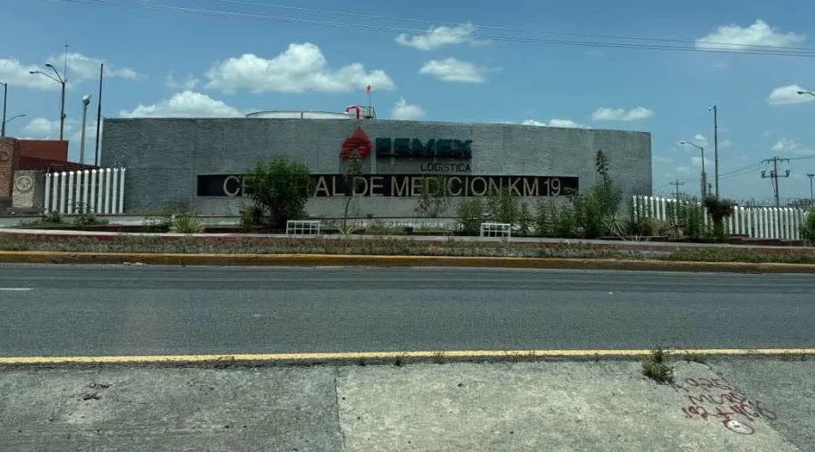 atropellan-a-oso-monterrey (1)