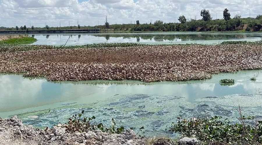 avanza-limpieza-laguna-la-escondida Trabajos de rehabilitación y saneamiento en la laguna La Escondida en Reynosa.