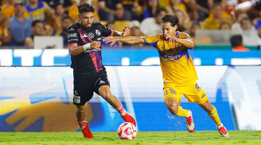 cambia-de-horario-tigres-puebla