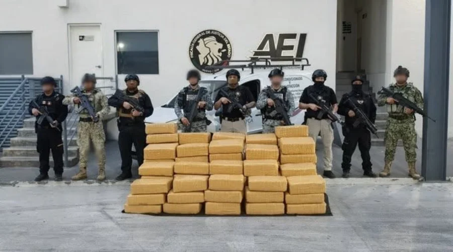 decomisa-fiscalia-de-nl-mariguana