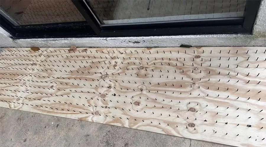 denuncian-profepa-tablas-clavos-osos-san-pedro
