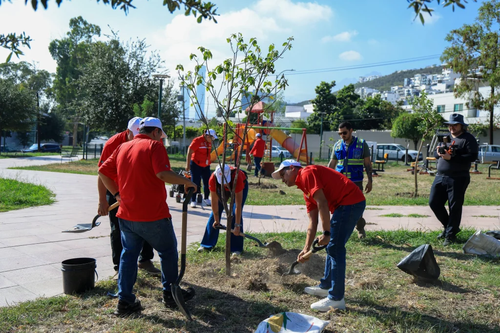 Impulsa Monterrey plantación de árboles nativos en Plaza de la Concordia 2 edd5aa00 9c4f 43a7 8e1c de70c925e8cf