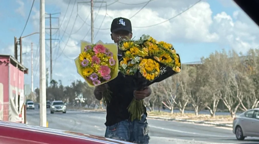 flores-amarillas-reynosa-septiembre
