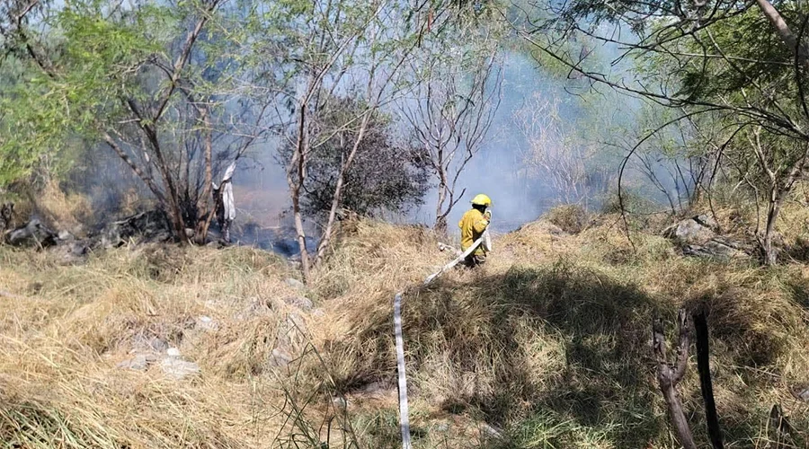 incendio-rio-santa-catarina-monterrey Incendio consume 300 metros cuadrados en el río Santa Catarina en Monterrey.
