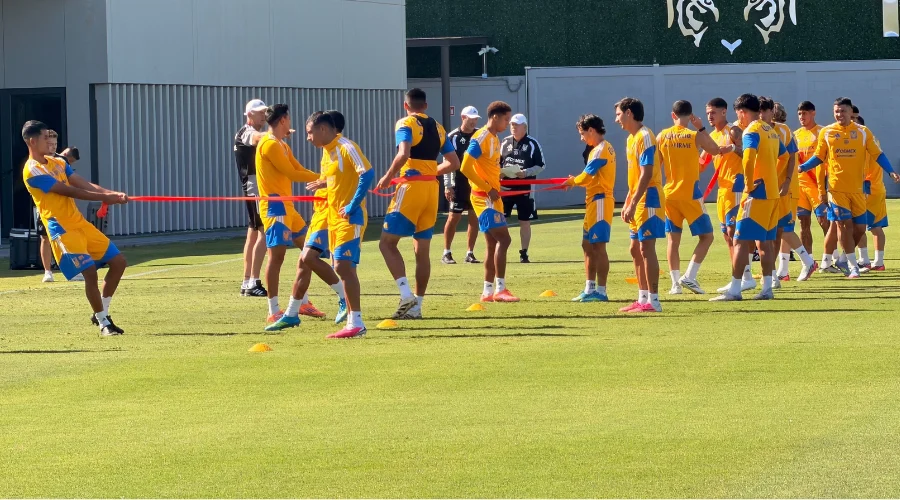 jesus-garza-es-baja-tigres