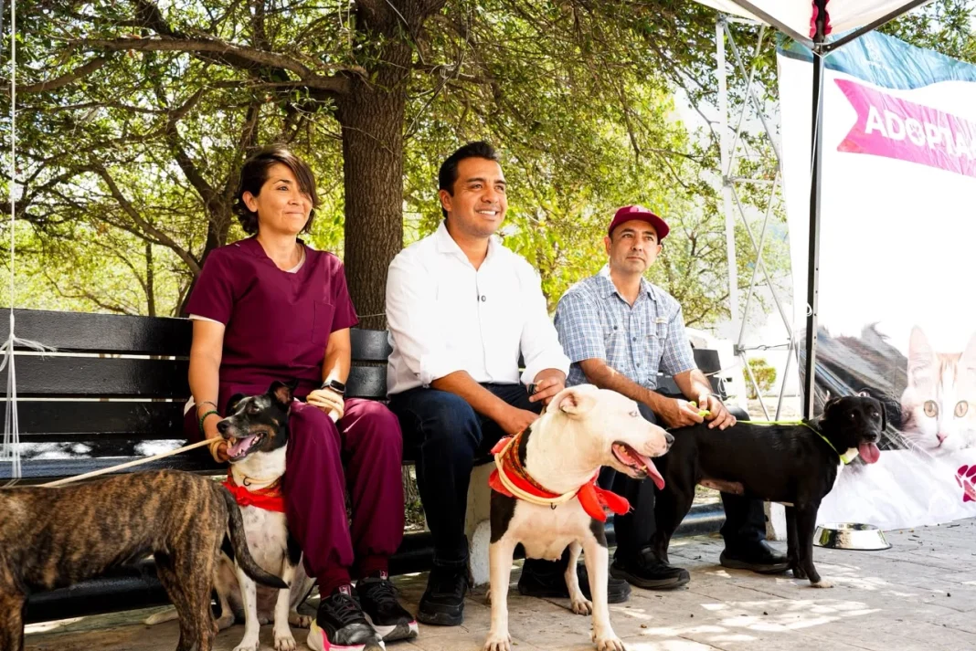 jesus-nava-adopcion Promueve Jesús Nava adopción de animales de compañía