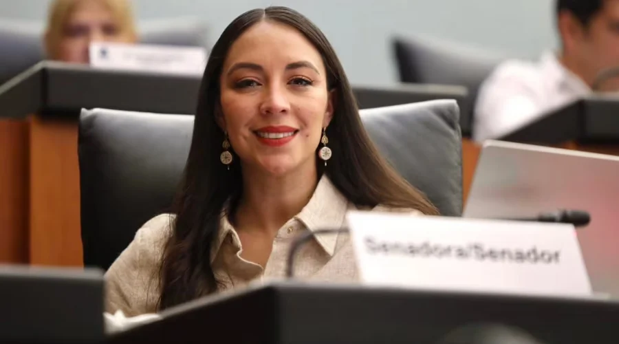 julieta-ramirez-acusa-guerra-sucia