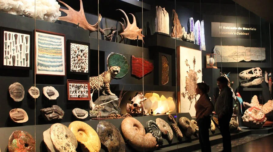 La Milarca será gratis en memoria de Mauricio Fernández 2 Entrada al Museo La Milarca en honor a Mauricio Fernández.