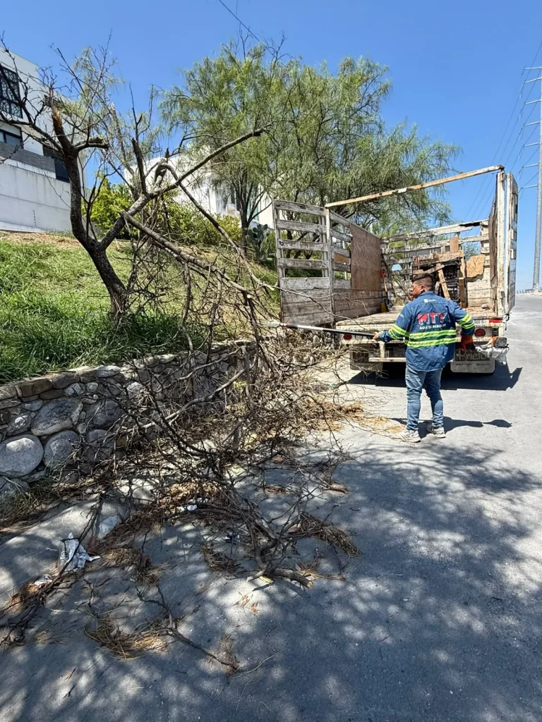 Atiende Monterrey caída de más de 40 árboles tras lluvias y fuertes vientos 1 Atiende Monterrey caída de más de 40 árboles tras lluvias y fuertes vientos