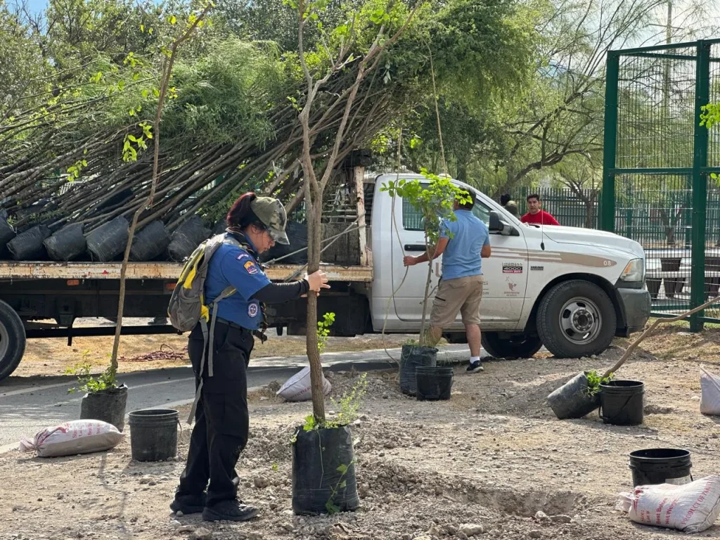 Reforesta Monterrey Área Natural con 120 árboles nativos 1 monterrey reforesta 2