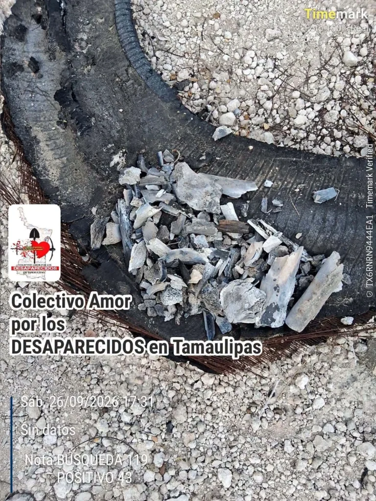 Localizan restos óseos en zona rural de Reynosa 1 Colectivo de búsqueda localiza restos óseos en Reynosa durante prospección en zona rural