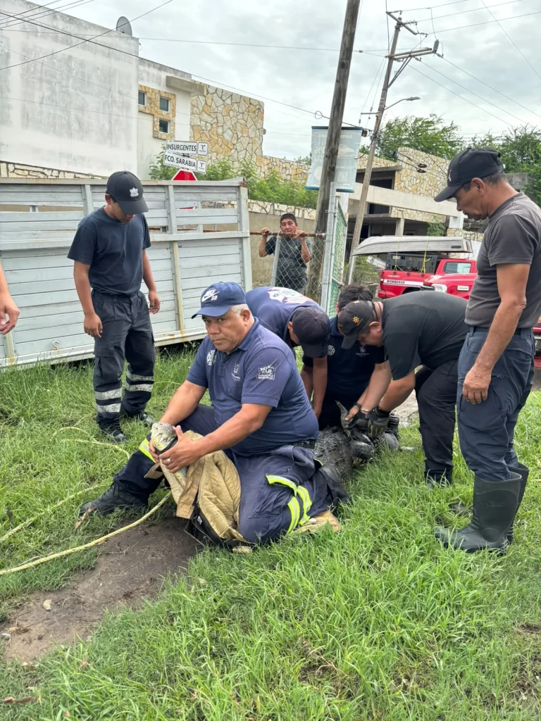 Madero mantienen vigilancia y acciones preventivas ante posibles fenómenos meteorológicos 3 3fd6289c c6e2 4ada 899b cc4fdb090b41