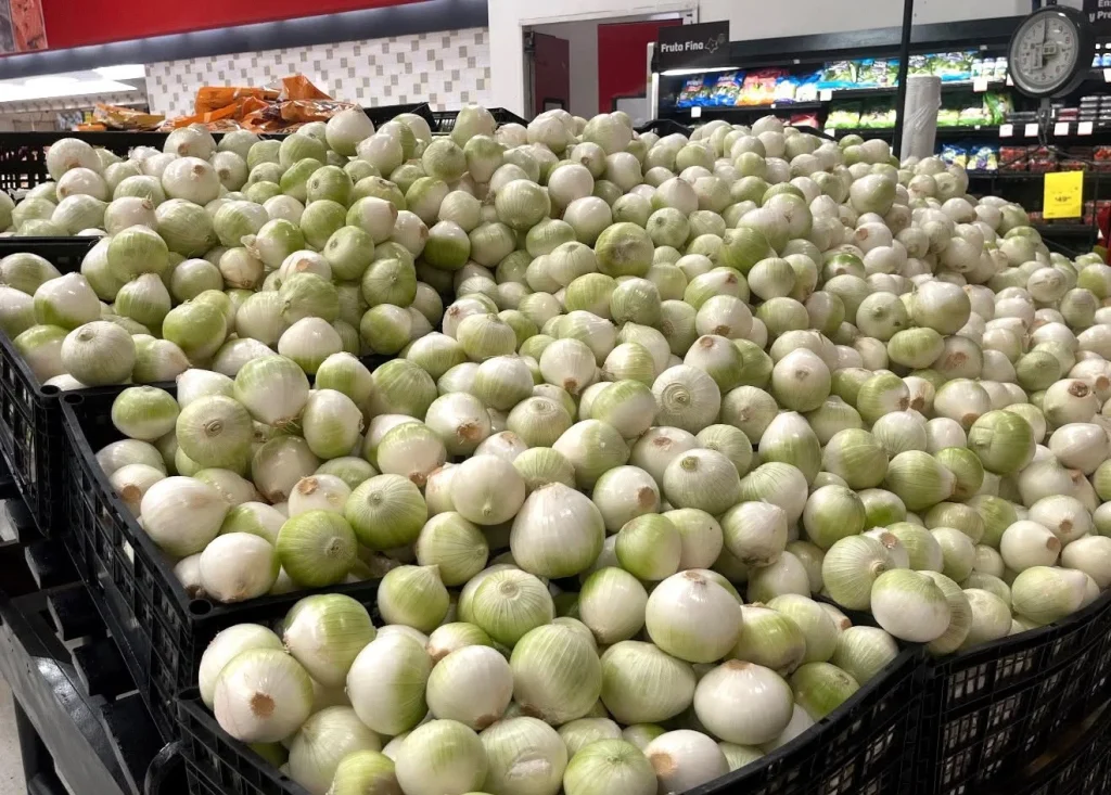 Prevén impacto en precios de productos agrícolas por lluvias 2 829584933 929033196652238 7571448075892964961 n