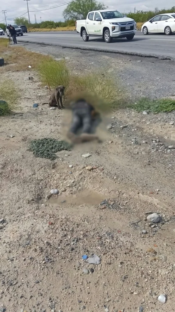 Persona epiléptica muere, tras presenciar atropello en Apodaca 1 829657046 1663374781793746 5318116307854424737 n