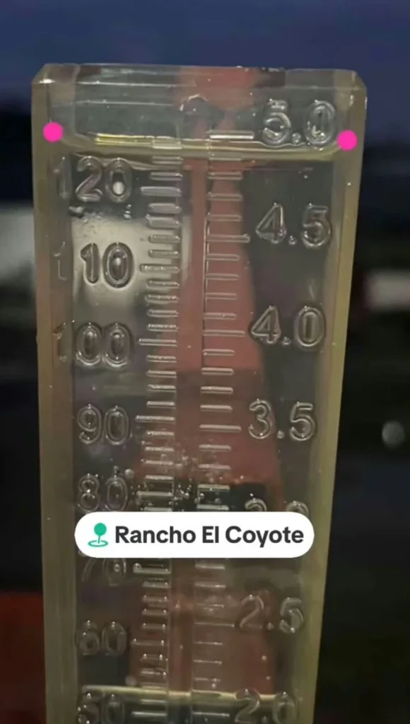 833215922 1568751615264196 894124895312722818 n