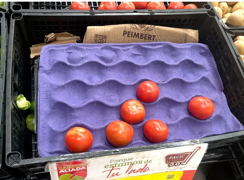Prevén impacto en precios de productos agrícolas por lluvias 1 834462726 1822027992565351 3632158606979342776 n