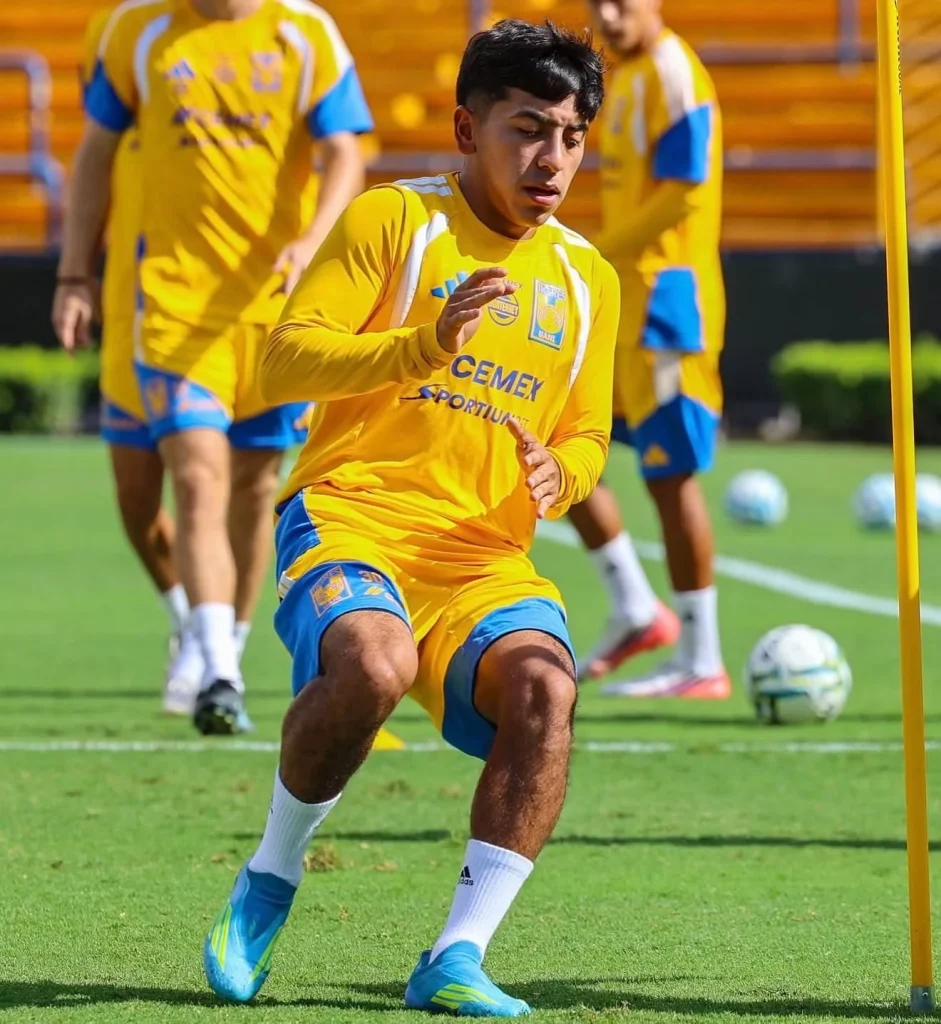 Reporta 'Chicha' Sánchez con Tigres 1 840033131 1410431327269894 4927372664731941250 n