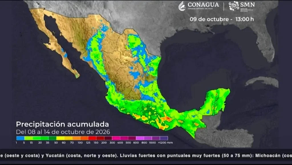 Continuarán lluvias asociadas al huracán Isaías en la costa tamaulipeca 2 842174853 938929155613832 6120867228840089718 n