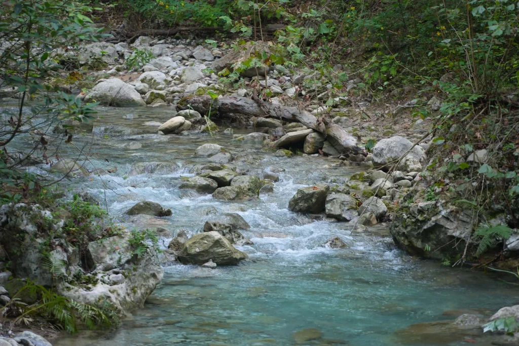 Reabastece Heineken casi 2 millones de metros cúbicos de agua en NL 5 842914306 1756863175389456 6222721488418963356 n