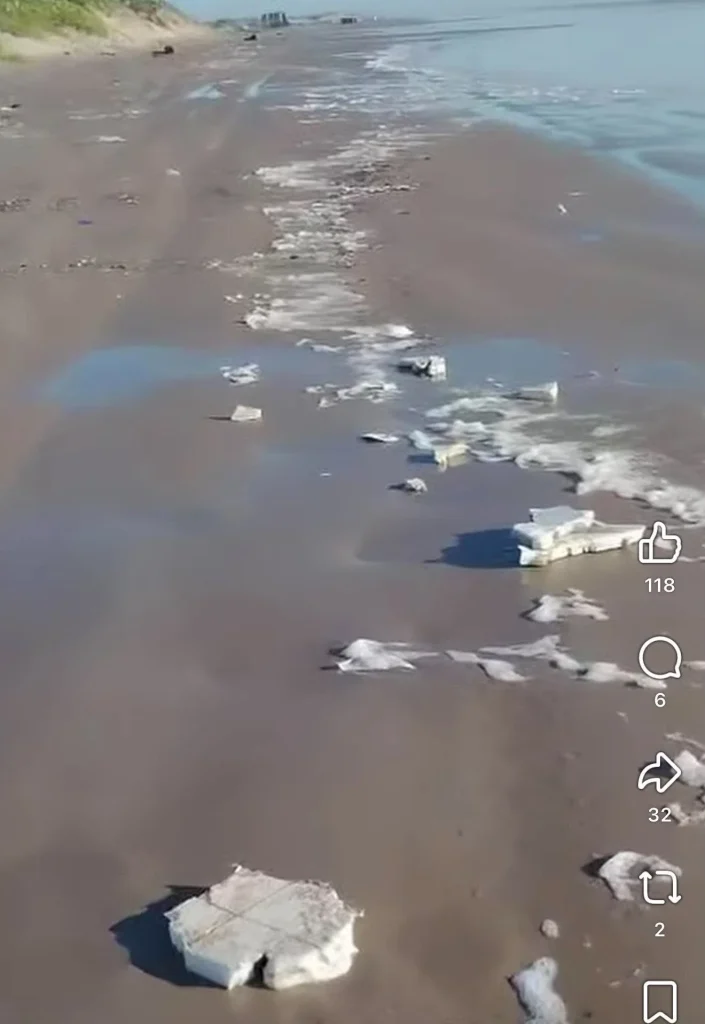 Reporta Conibio Global nuevos residuos espaciales en Playa Bagdad 1 845542347 2595545347583273 8396085333355435404 n