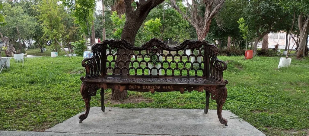 Denuncia don Máximo Vera robo de rosales en parque que ha reforestado en Reynosa 5 855099807 2676217026132292 7251353907298113991 n