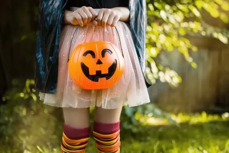 Preparan operativo de seguridad vial por Halloween y Día de Muertos 2 856883876 2132618147352442 5940967490643044997 n