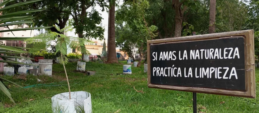Denuncia don Máximo Vera robo de rosales en parque que ha reforestado en Reynosa 4 857841124 2623831561388306 5801325700426738935 n