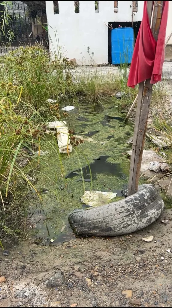 Fuga de aguas residuales cumple 15 años en Riberas de Rancho Grande 1 Afectaciones causadas por la constante fuga de aguas residuales en la colonia Riberas de Rancho Grande.