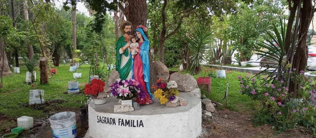 Denuncia don Máximo Vera robo de rosales en parque que ha reforestado en Reynosa 2 860452523 2094557218096124 4882463674663888487 n