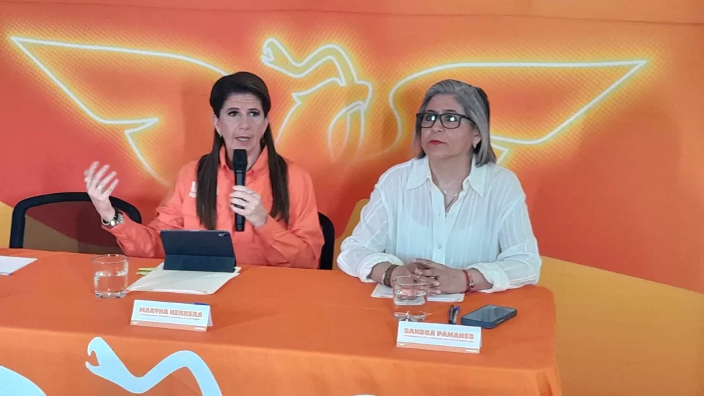 Pide Martha Herrera a Monterrey que retire telarañas de las calles 2 861229339 2529258510891511 1976387245714181929 n